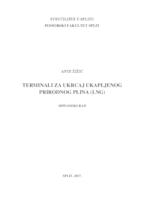 Terminali za ukrcaj ukapljenog prirodnog plina (LNG)