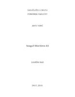 prikaz prve stranice dokumenta Seagull maritime AS